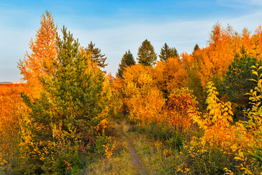 Similar image 21324817