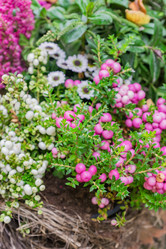 Similar image 21327875