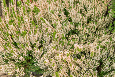 Similar image 21327879