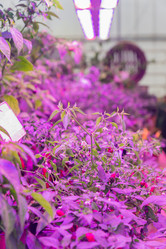 Similar image 21327882