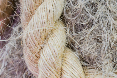 Similar image 21327883