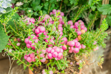 Similar image 21327890