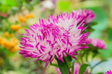 Similar image 21327894