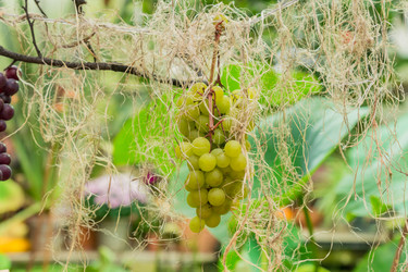 Similar image 21327899