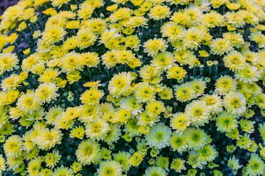 Similar image 21327902