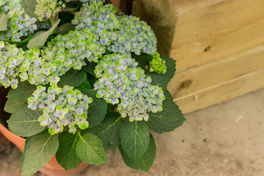 Similar image 21327906