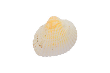 Similar image 21332034