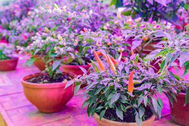 Similar image 21332036