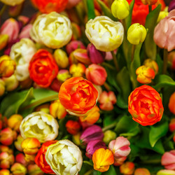 Similar image 21315732