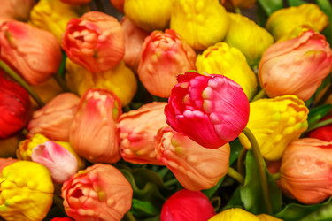 Similar image 21315734