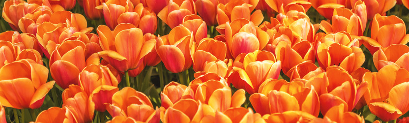 Similar image 21315740