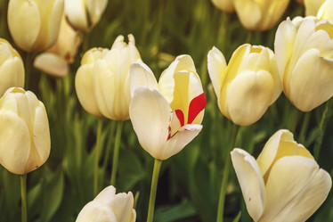 Similar image 21315741