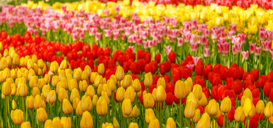 Similar image 21315743