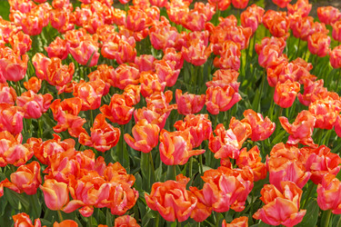 Similar image 21315745