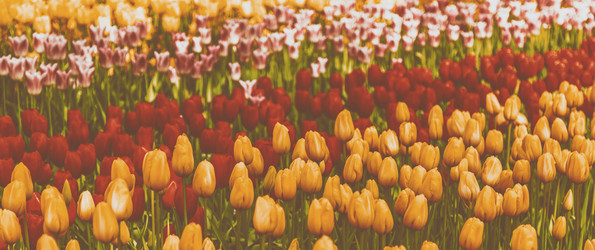 Similar image 21315746