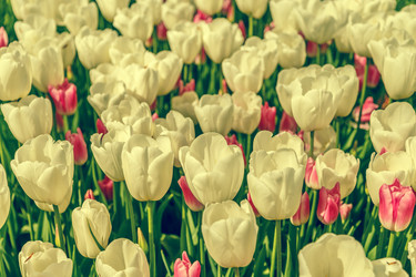 Similar image 21315748