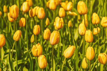 Similar image 21315750