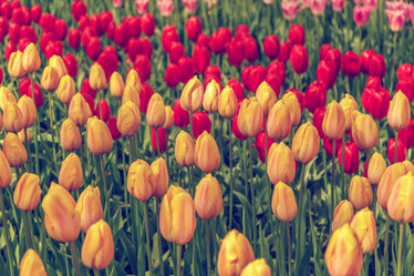 Similar image 21315753