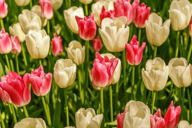 Similar image 21315865