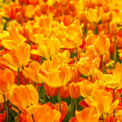 Similar image 21315868