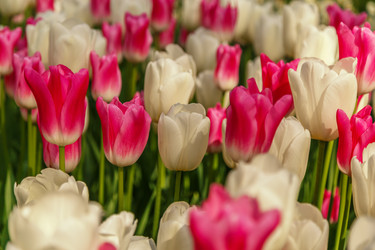 Similar image 21315869