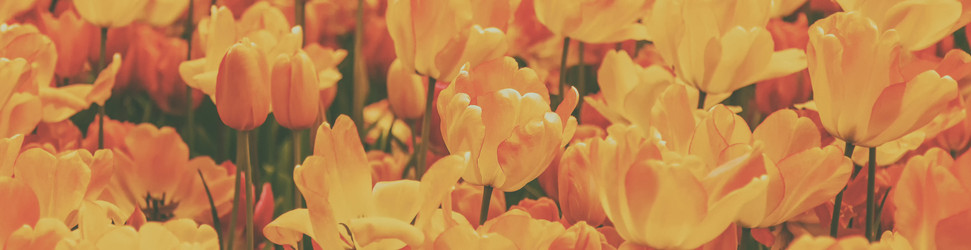 Similar image 21315870