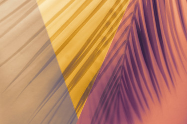 Similar image 21332042