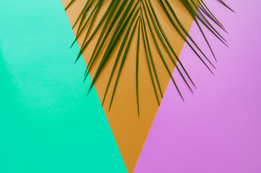 Similar image 21332044