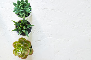 Similar image 21332046