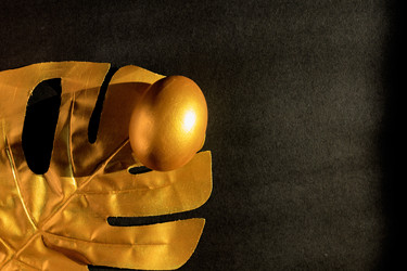 Similar image 21332056