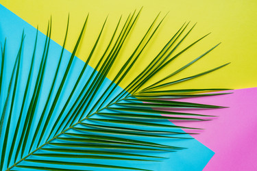 Similar image 21332058