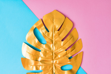 Similar image 21332061