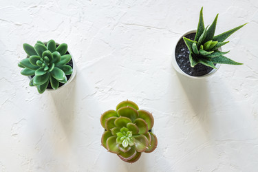 Similar image 21332066