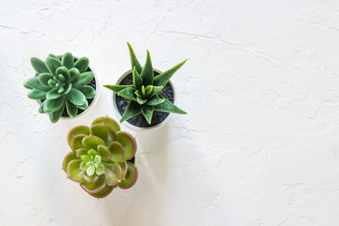 Similar image 21332067