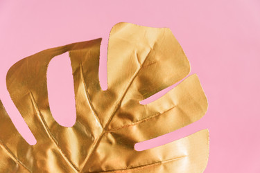 Similar image 21332072