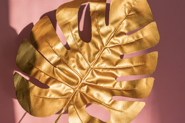 Similar image 21332076