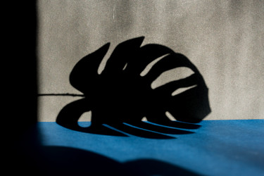 Similar image 21332081