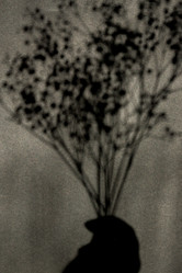 Similar image 21332086