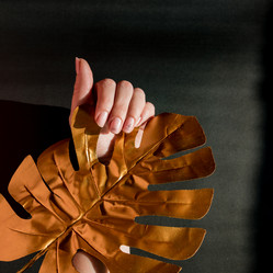 Similar image 21332090