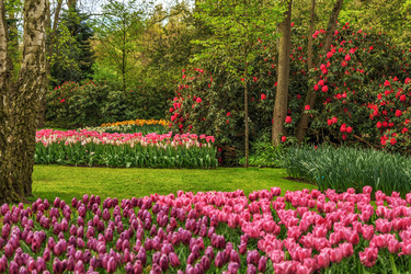 Similar image 21315757