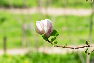 Similar image 21332794