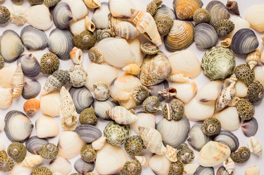 Similar image 21332815