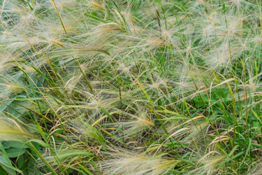 Similar image 21332827