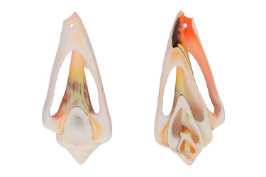 Similar image 21332828