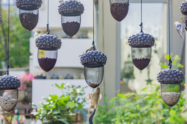 Similar image 21332831