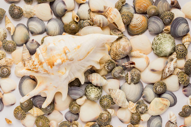 Similar image 21332845