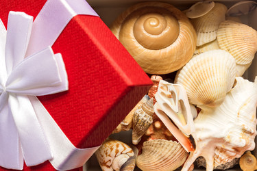 Similar image 21332849