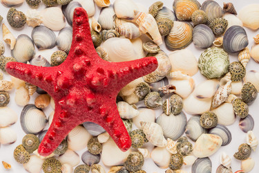 Similar image 21333107