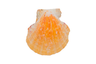 Similar image 21333152