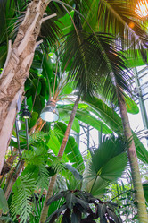 Similar image 21333153